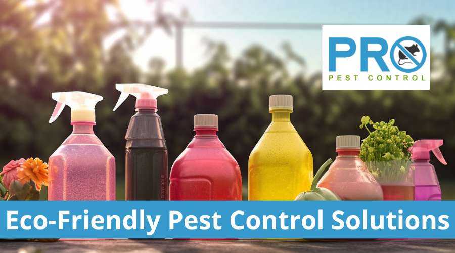 Eco-Friendly Pest Control Solutions