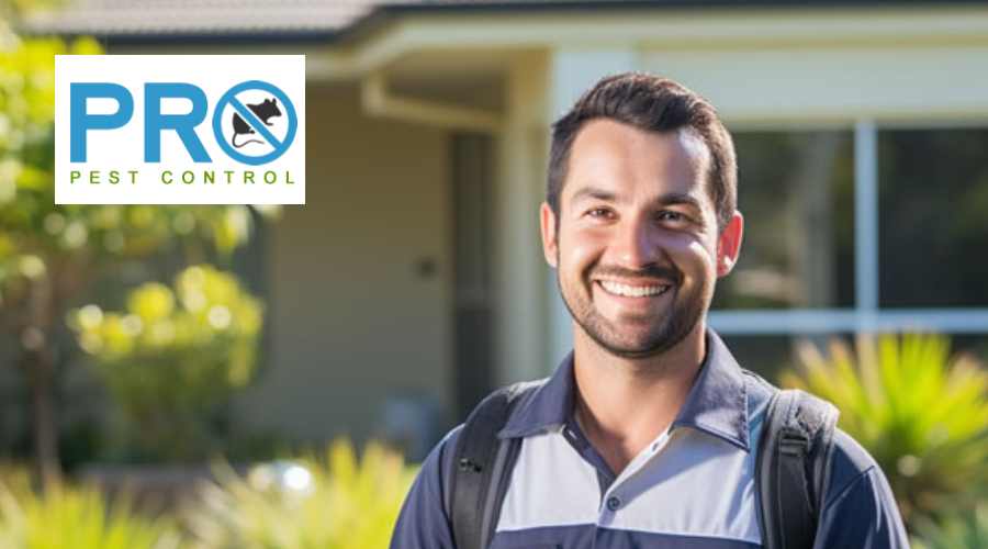 Professional Summer Pest Control Service